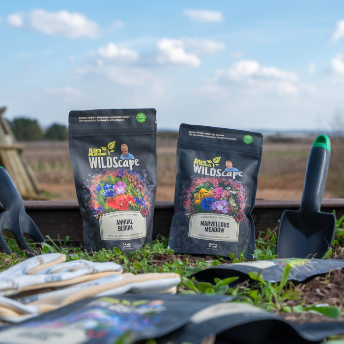Annual Bloom and Marvellous Meadow Wildflower Seeds by Wildscape