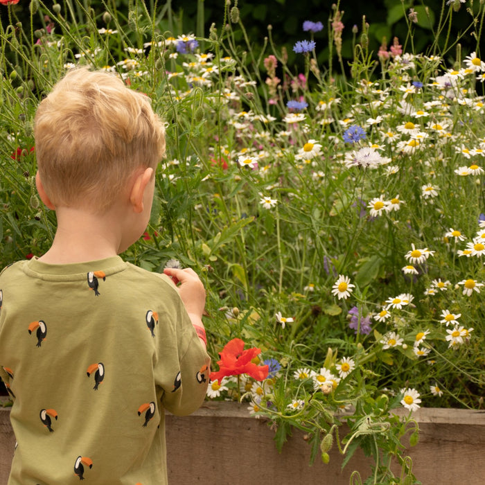 The Importance of Wildflowers