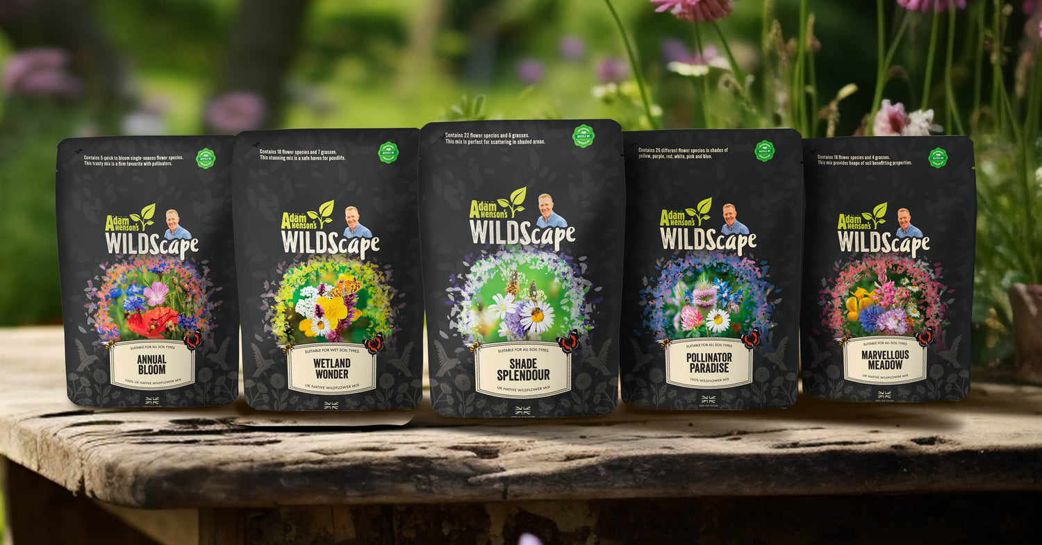Welcome to the Wildscape Academy