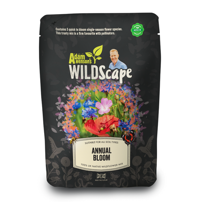 Annual Bloom - British 100% Wildflower Seeds Mix