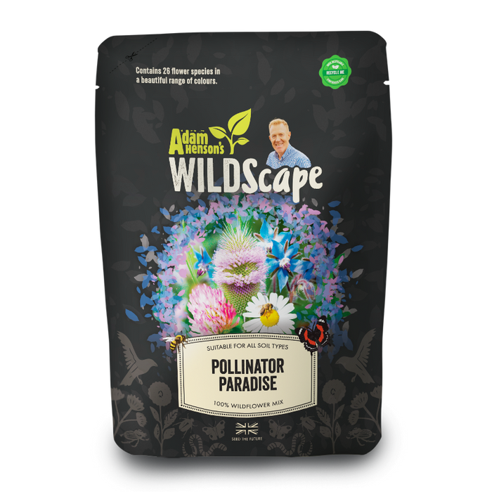 Pollinator Paradise - British 100% Wildflower Seeds Mix
