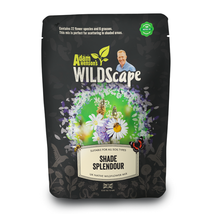 Shade Splendour - British Wildflower Meadow Seeds Mix