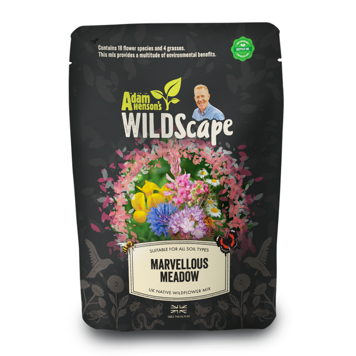 Marvellous Meadow - British Wildflower Seeds Mix